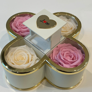 Endless Warm Quartet