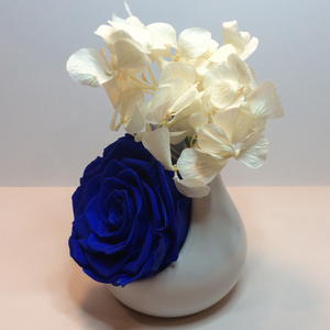 Single XXL Royal Blue Endless Rose encased in a white ceramic terrarium with White Preserved hydrangeas branches on top of the xxl rose. Side Profile