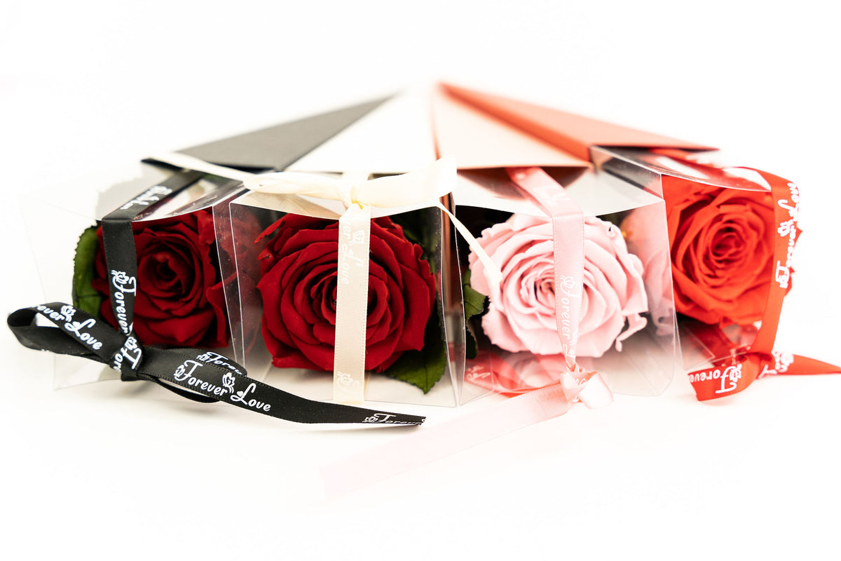 Full Catalogue β Endless Roses