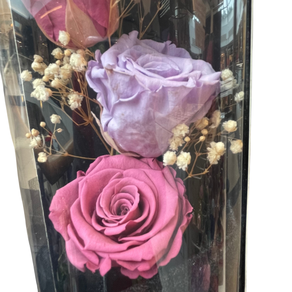 Joyful Blossoms – Endless Roses