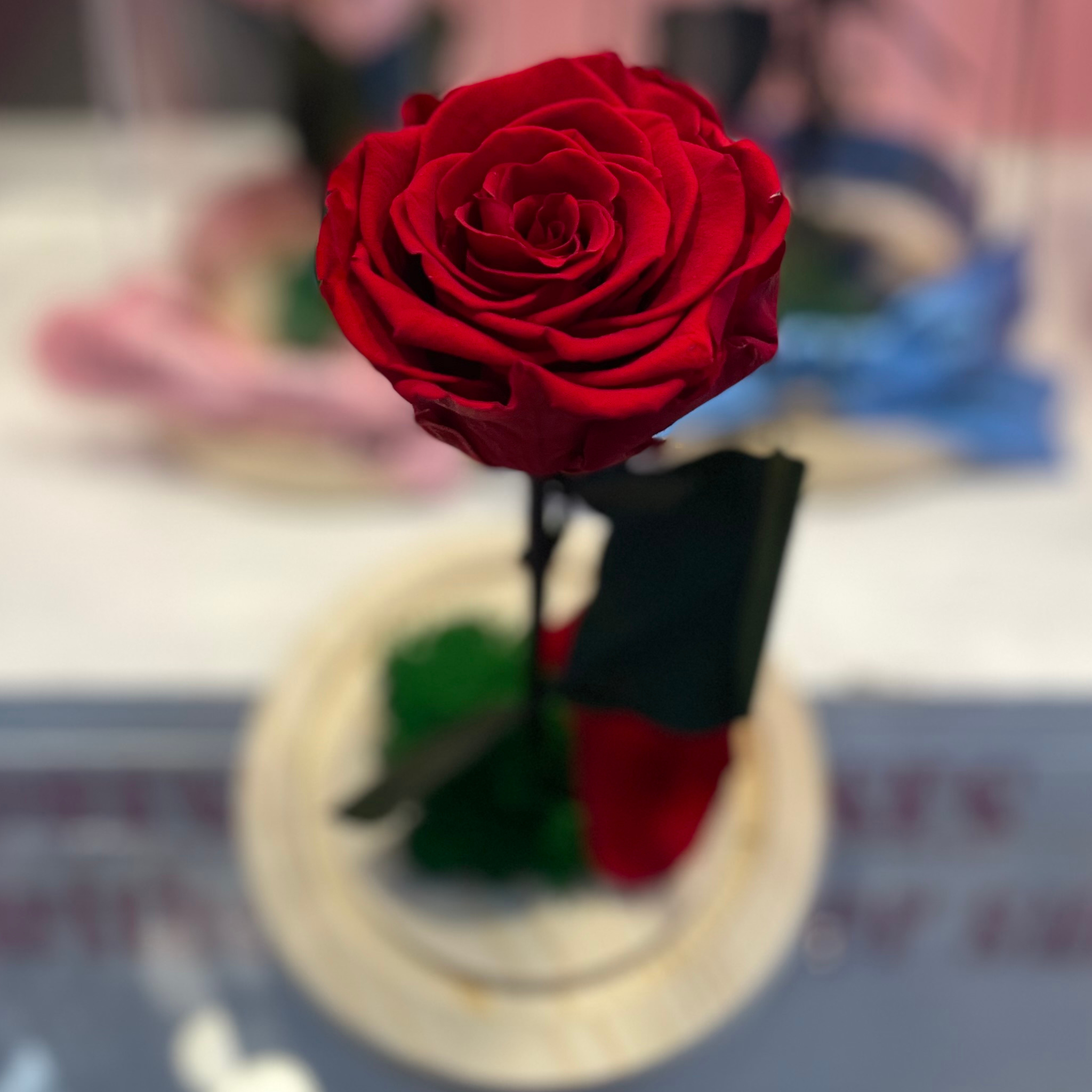 Endless Beauty (Sm.)