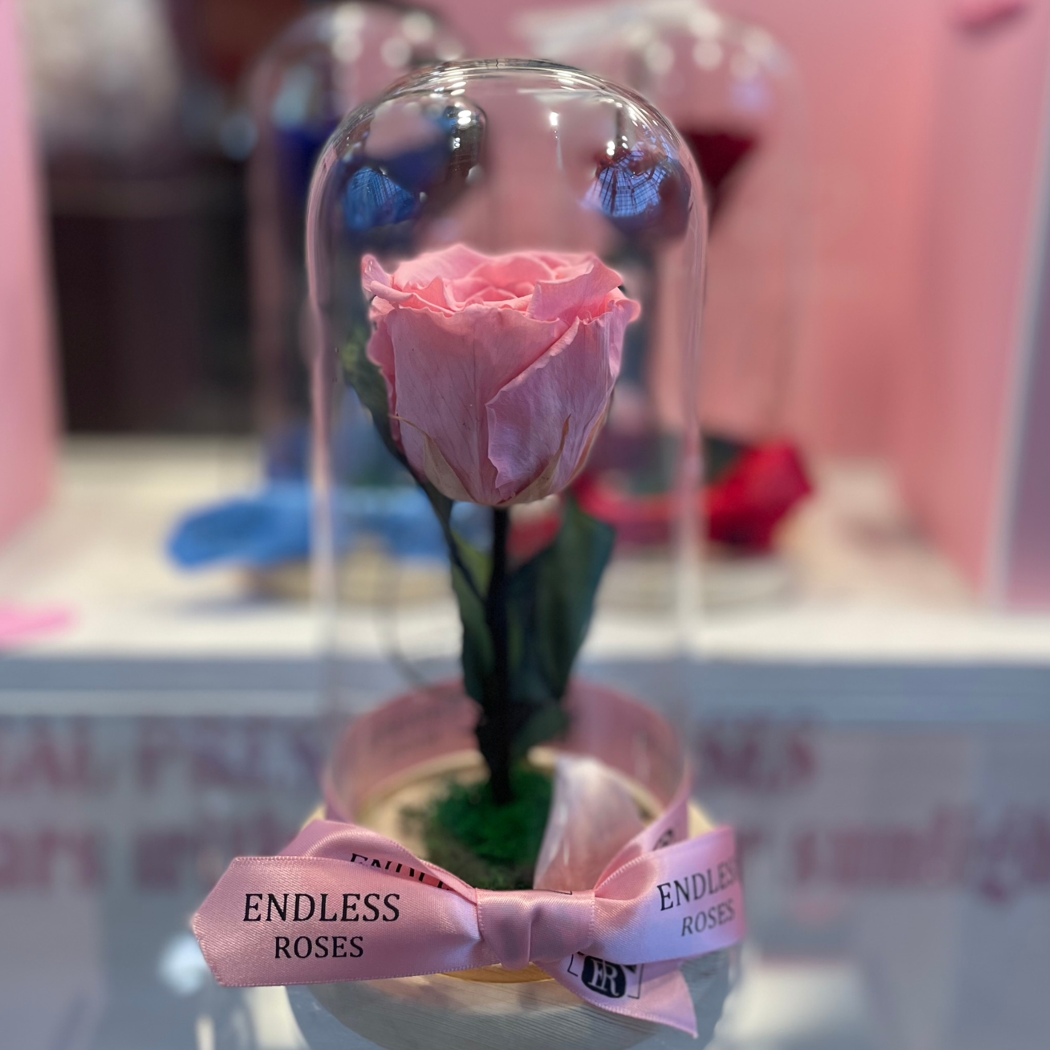 Endless Beauty (Sm.)