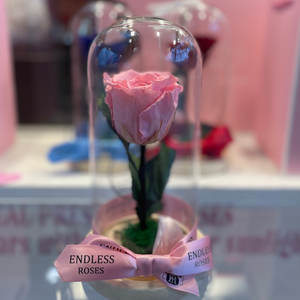 Endless Beauty (Sm.)