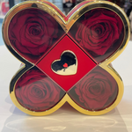 Endless Warm Quartet