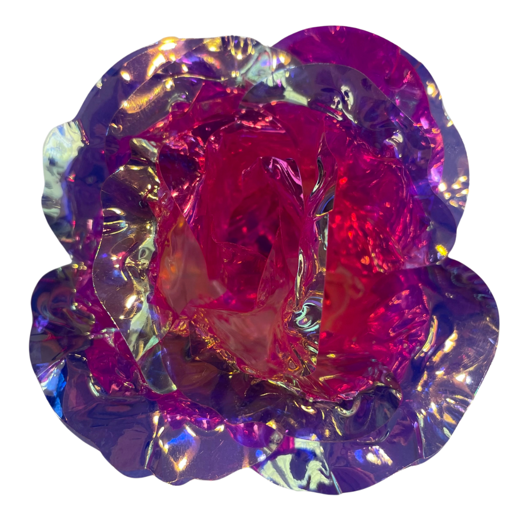 Endless Prism β Endless Roses