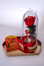 Lunar New Year: Year of the Fire Horse