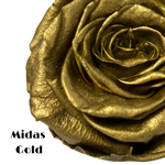 Endless Beauty (Sm.)