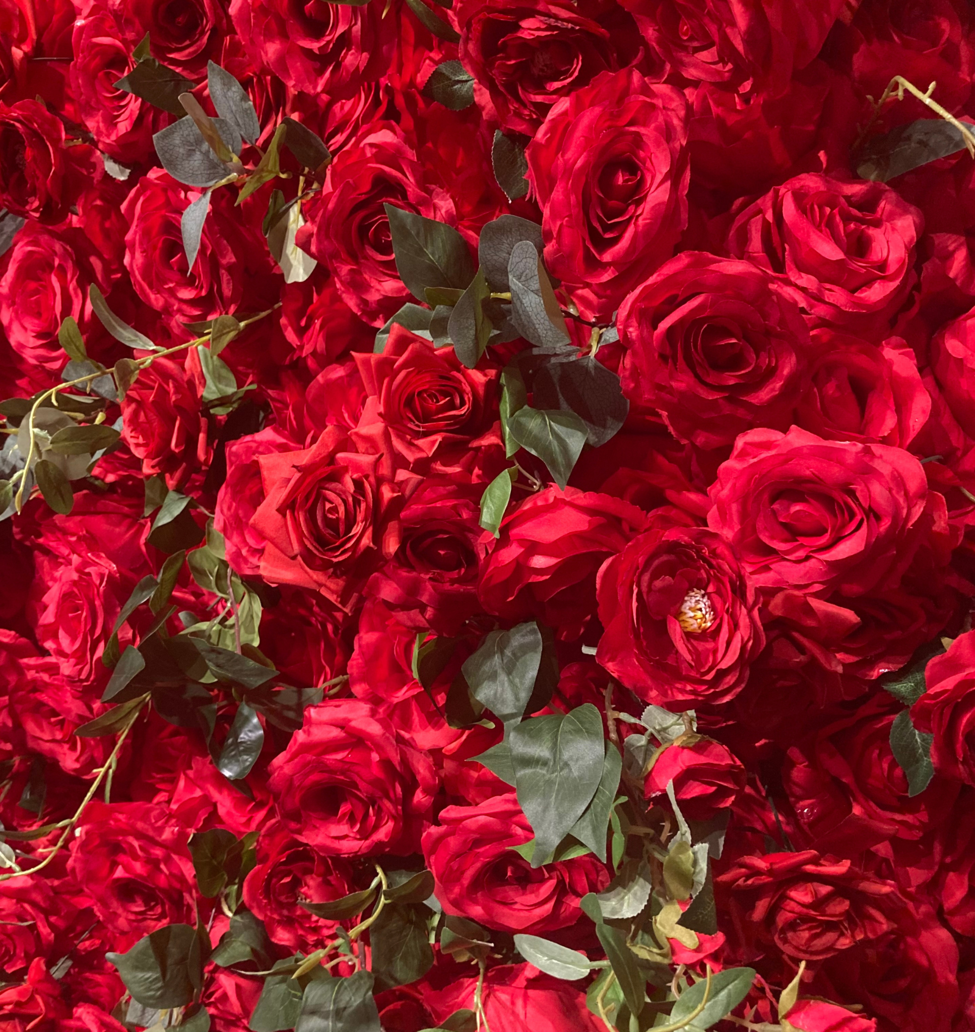 'Scarlet Romance' Flower Wall