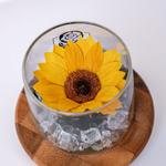 Endless Ace (Special)