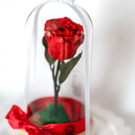 Endless Beauty (Sm.)