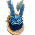 Enchanted Forest (Mini)