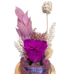 Enchanted Forest (Mini)