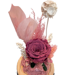 Enchanted Forest (Mini)