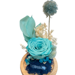 Enchanted Forest (Mini)