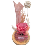 Enchanted Forest (Mini)