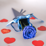 Blue rose in a blue box with red heart-shaped petals on a light background