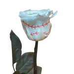 Hall of Roses: MVP Collection