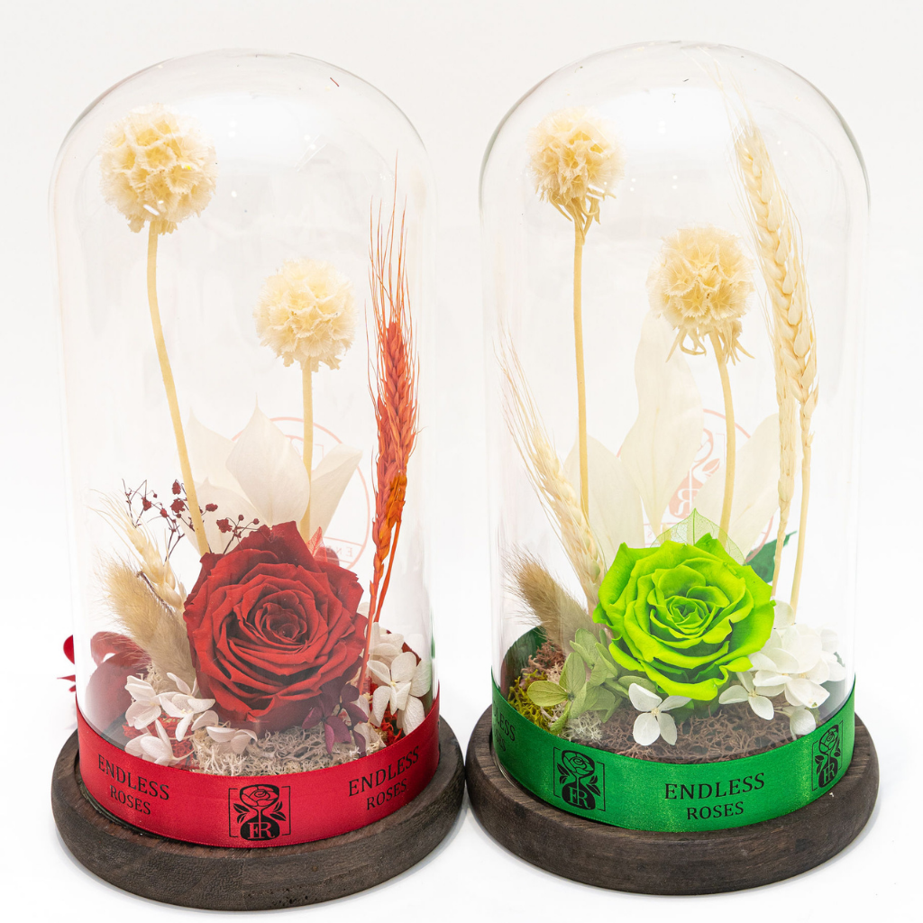 Enchanted Forest (Classic) β Endless Roses