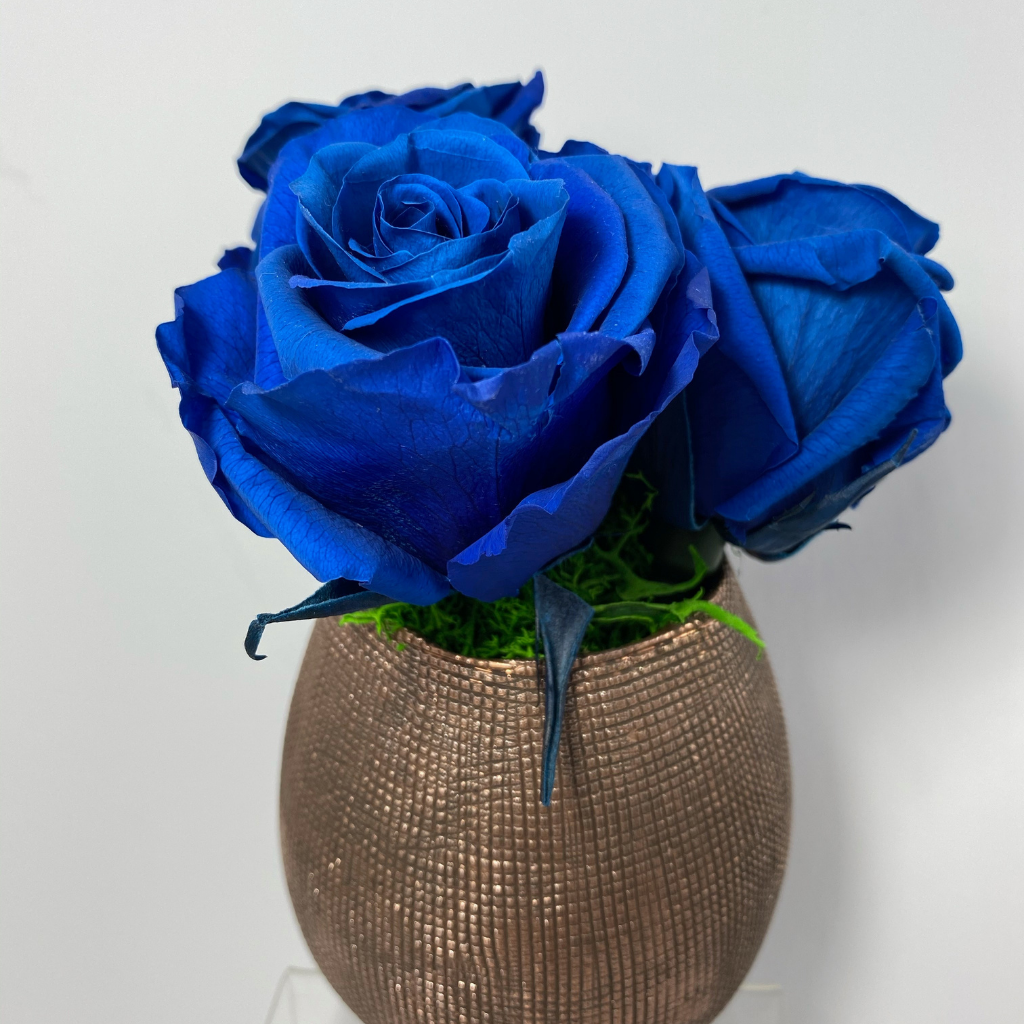 3 extra large preserved roses beautifully nestled on green preserved moss on a Antique Rose ceramic vase.