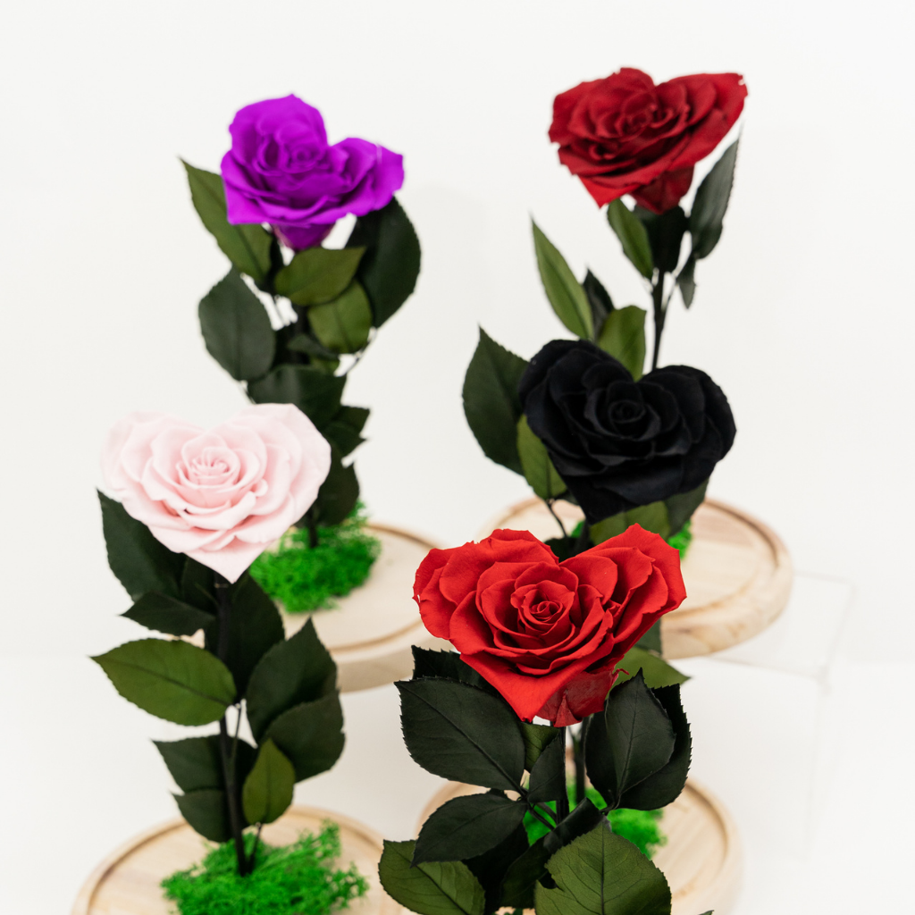 Endless Amour β Endless Roses