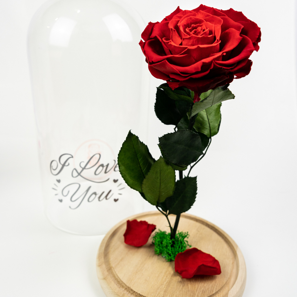 大人気 lovenfold Preserved Forever Roses Roses Flowers Flowers