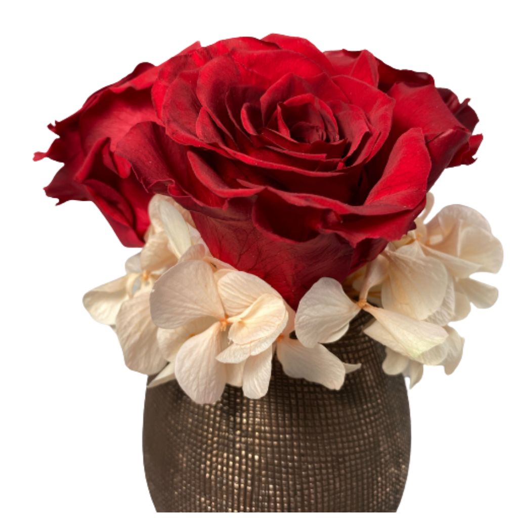 3 extra large red preserved roses beautifully nestled on peach preserved hydrangeas branches on a Antique Gold ceramic mesh pot.