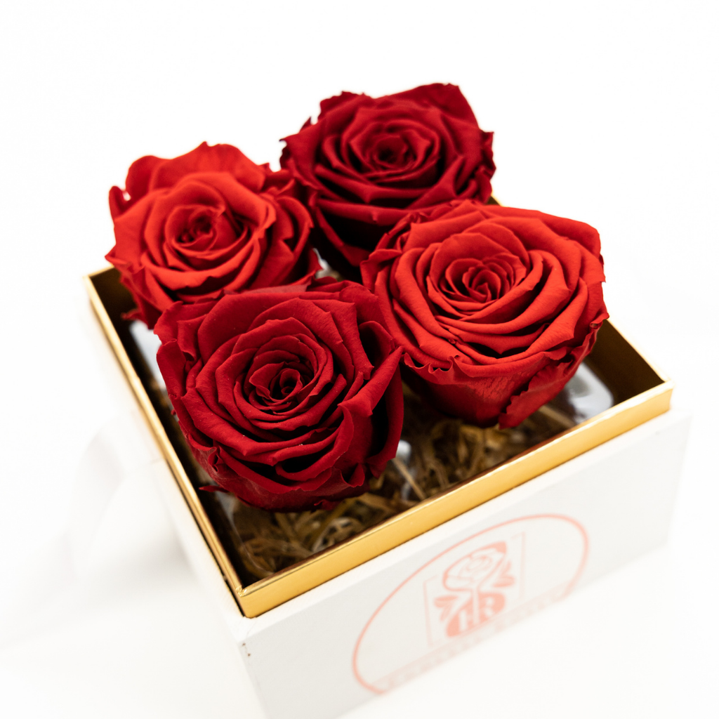 Shop Preserved Roses and Flower Arrangements β Endless Roses