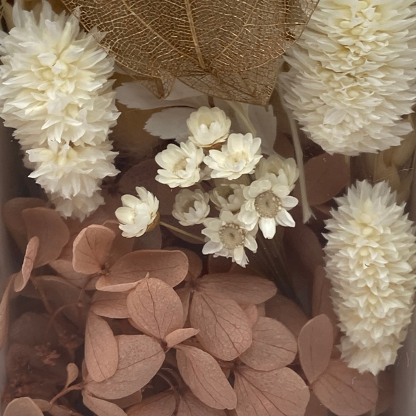 Endless CraftFusion – Endless Roses